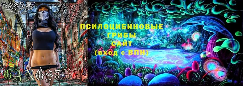 Псилоцибиновые грибы Magic Shrooms  OMG ссылка  Спасск-Рязанский  где купить наркотик 